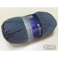 Plymouth Encore Worsted - 0515 Wedgewood